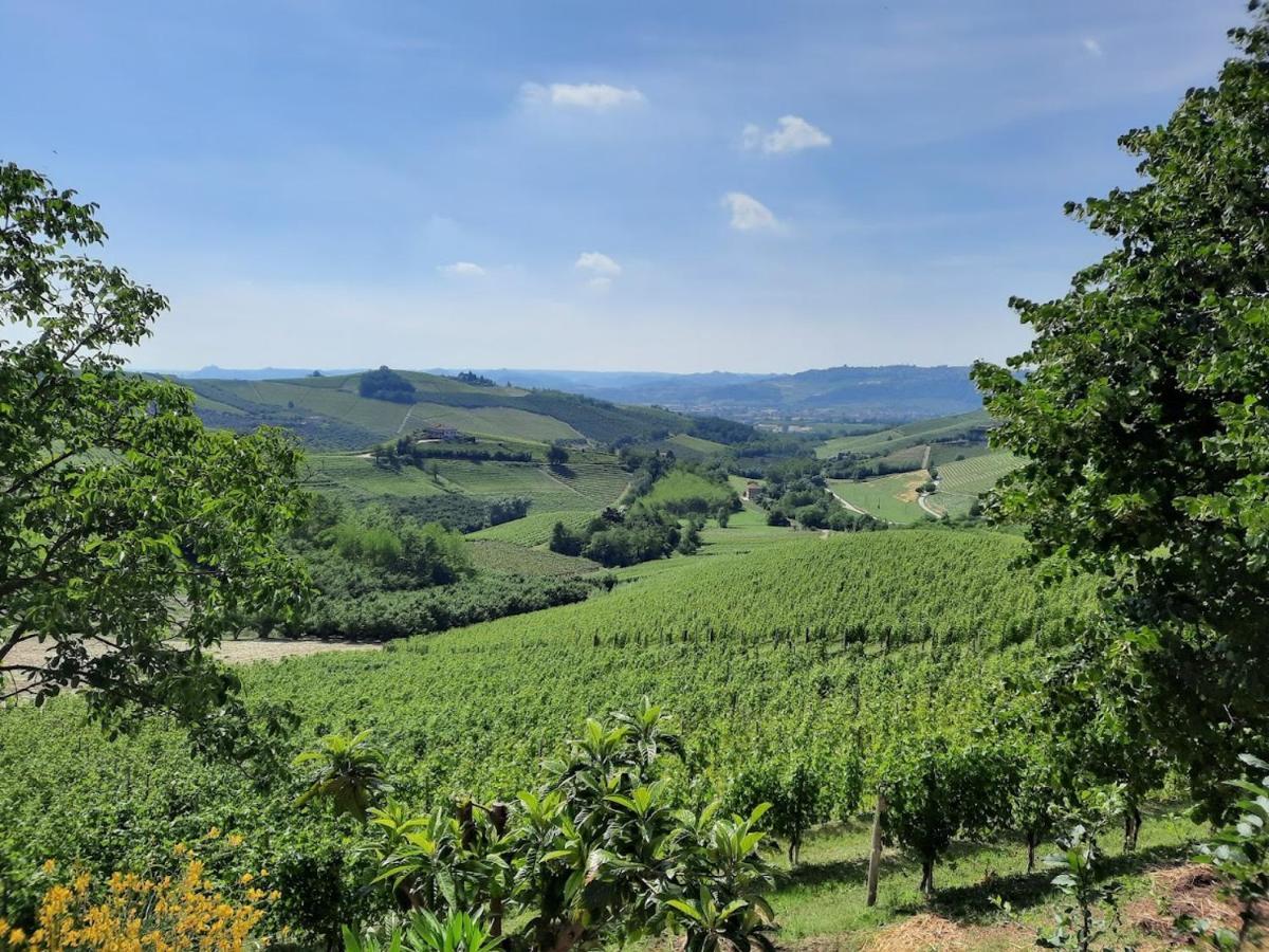 Ca Trifolera Barbaresco - Romantico Cascinale Con Antica Cantina Nel Cuore Delle Langhe - Degustazione Vini Nella Nostra Cantina Esterno foto