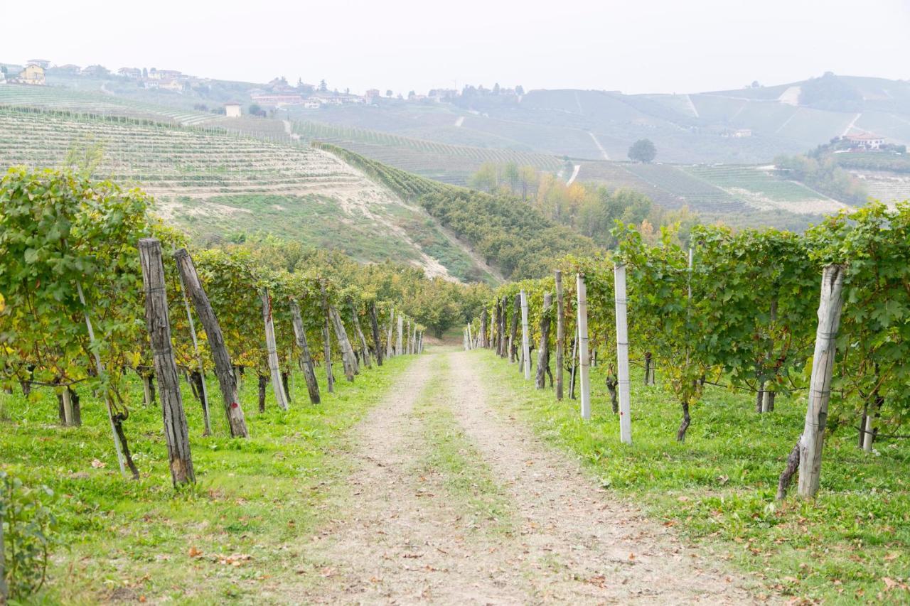 Ca Trifolera Barbaresco - Romantico Cascinale Con Antica Cantina Nel Cuore Delle Langhe - Degustazione Vini Nella Nostra Cantina Esterno foto