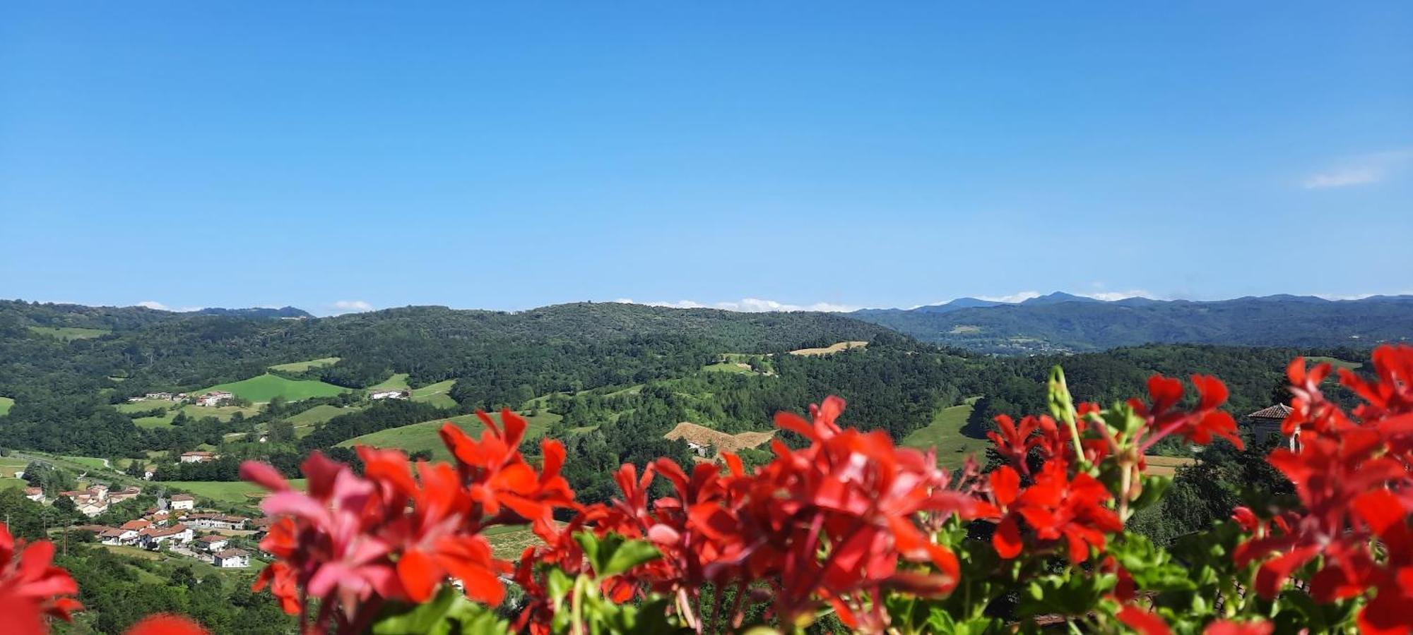 Ca Trifolera Barbaresco - Romantico Cascinale Con Antica Cantina Nel Cuore Delle Langhe - Degustazione Vini Nella Nostra Cantina Esterno foto