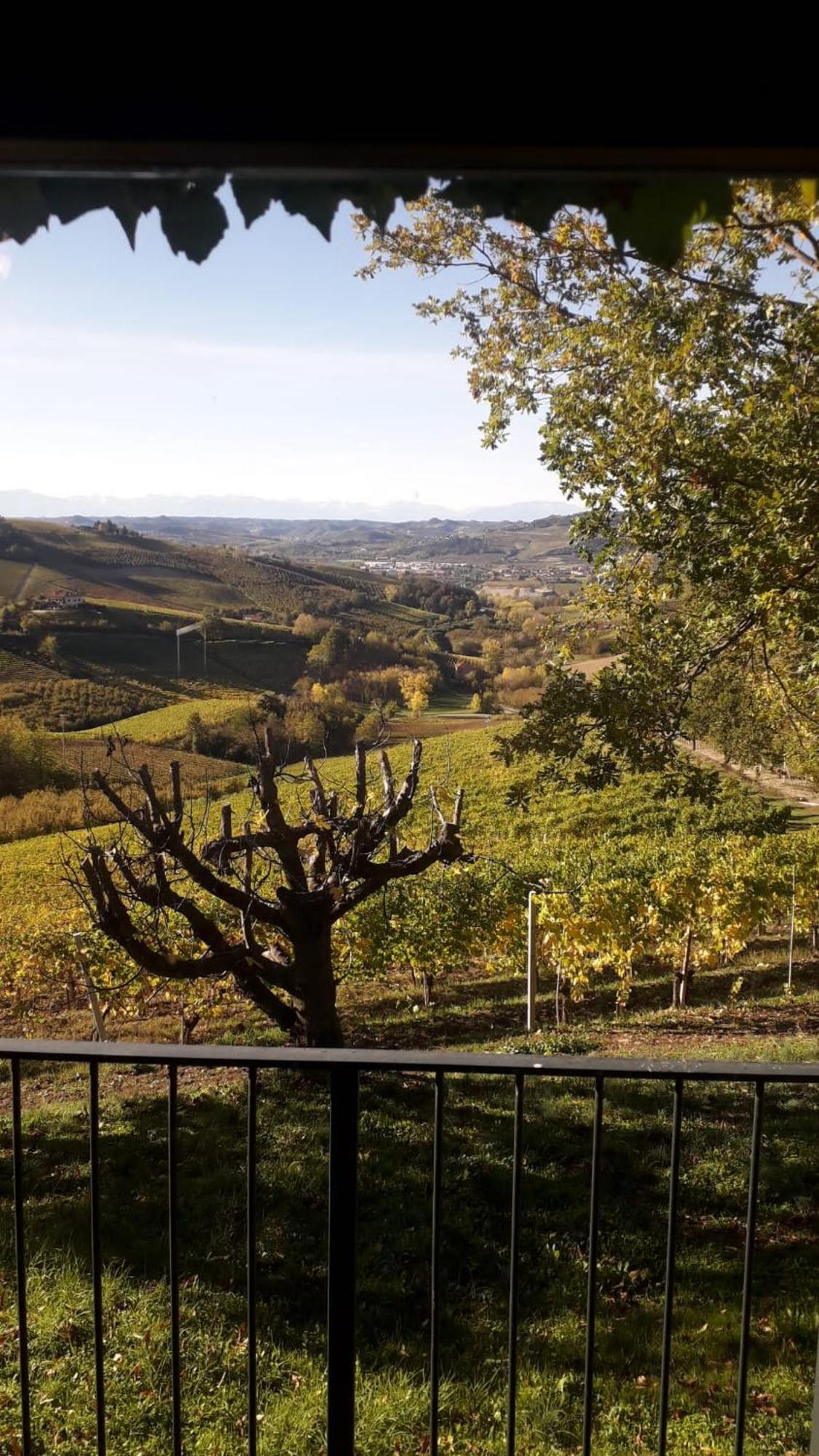 Ca Trifolera Barbaresco - Romantico Cascinale Con Antica Cantina Nel Cuore Delle Langhe - Degustazione Vini Nella Nostra Cantina Esterno foto