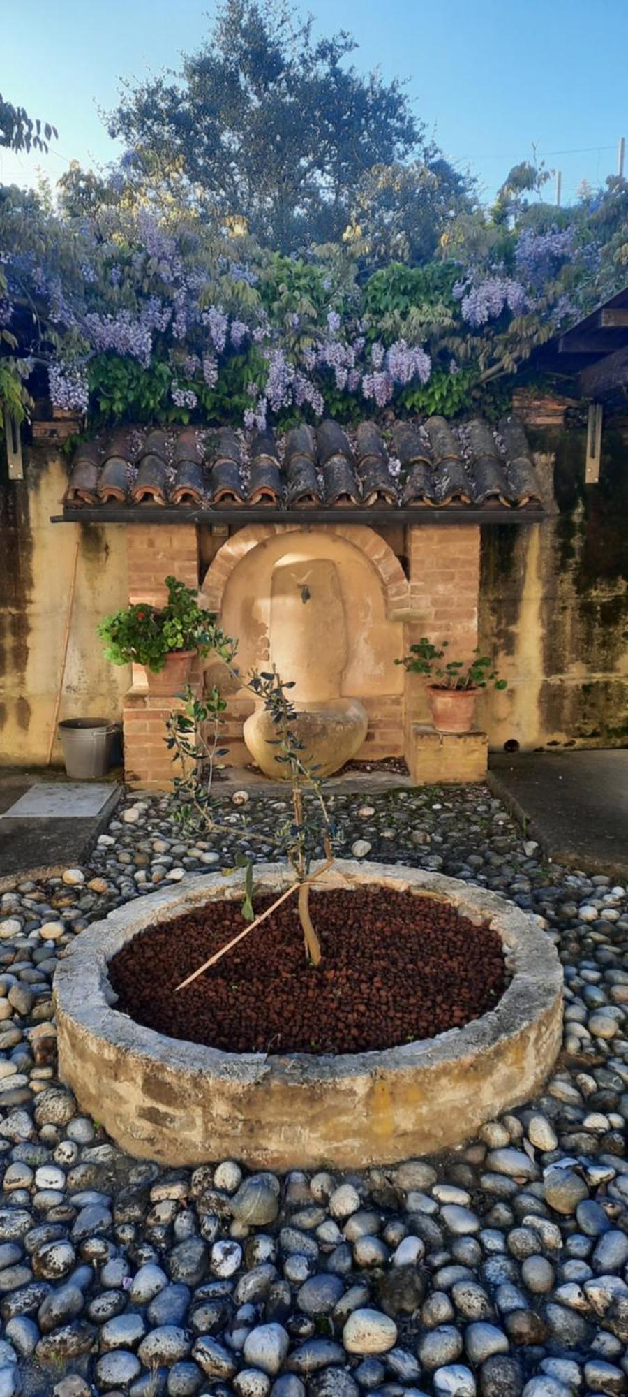 Ca Trifolera Barbaresco - Romantico Cascinale Con Antica Cantina Nel Cuore Delle Langhe - Degustazione Vini Nella Nostra Cantina Esterno foto