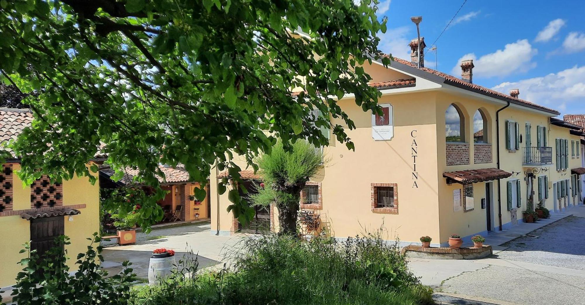Ca Trifolera Barbaresco - Romantico Cascinale Con Antica Cantina Nel Cuore Delle Langhe - Degustazione Vini Nella Nostra Cantina Esterno foto