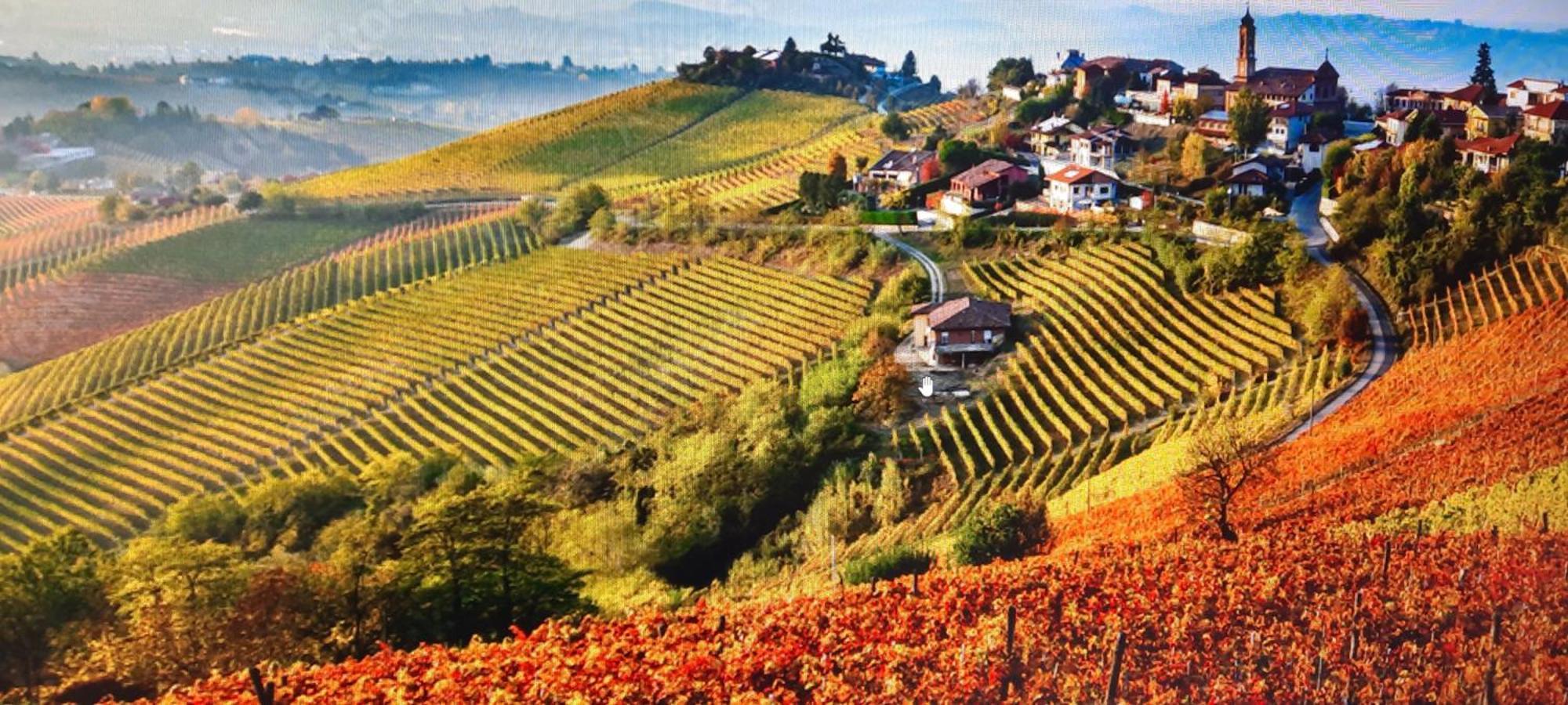 Ca Trifolera Barbaresco - Romantico Cascinale Con Antica Cantina Nel Cuore Delle Langhe - Degustazione Vini Nella Nostra Cantina Esterno foto
