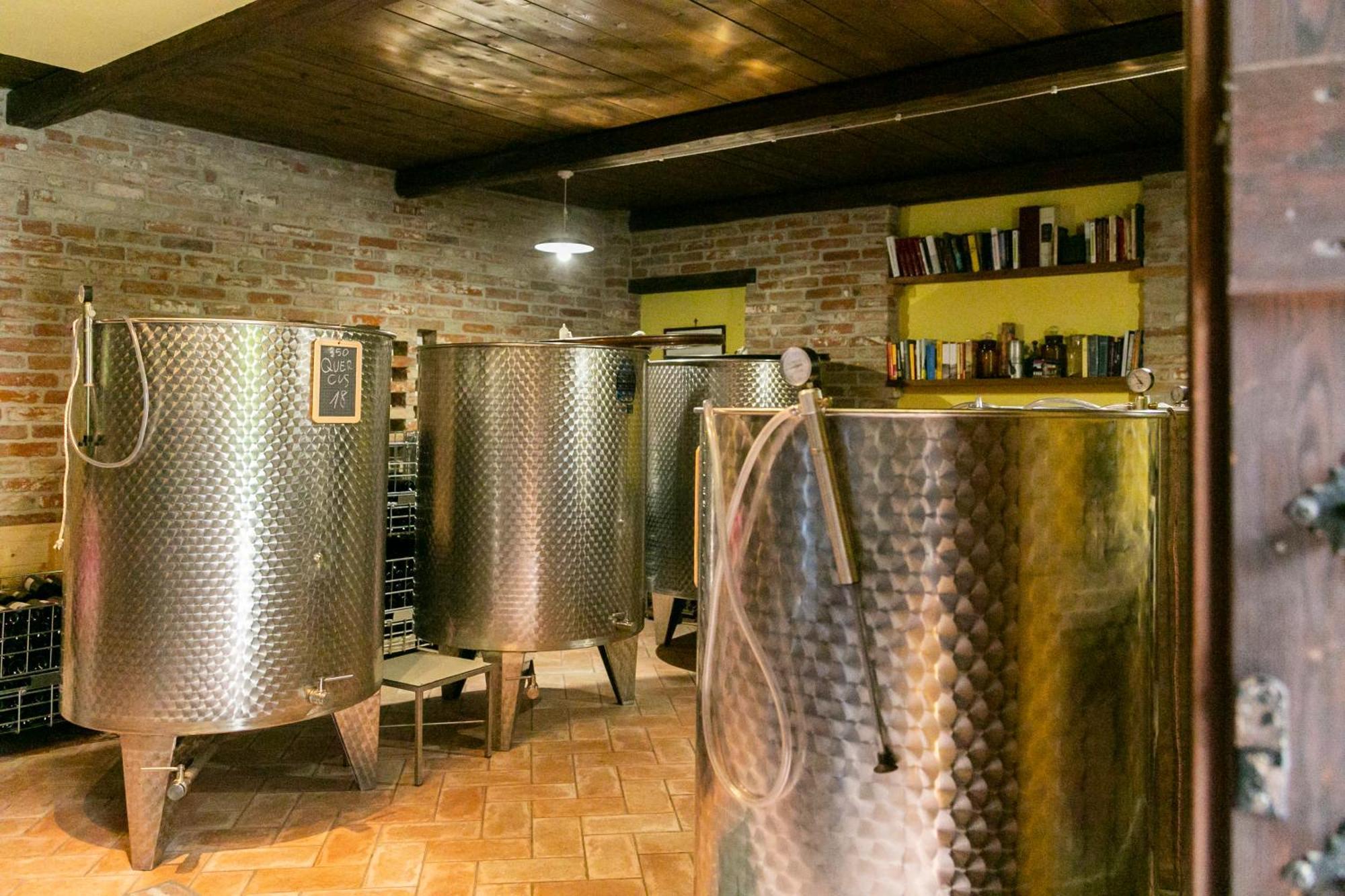 Ca Trifolera Barbaresco - Romantico Cascinale Con Antica Cantina Nel Cuore Delle Langhe - Degustazione Vini Nella Nostra Cantina Esterno foto