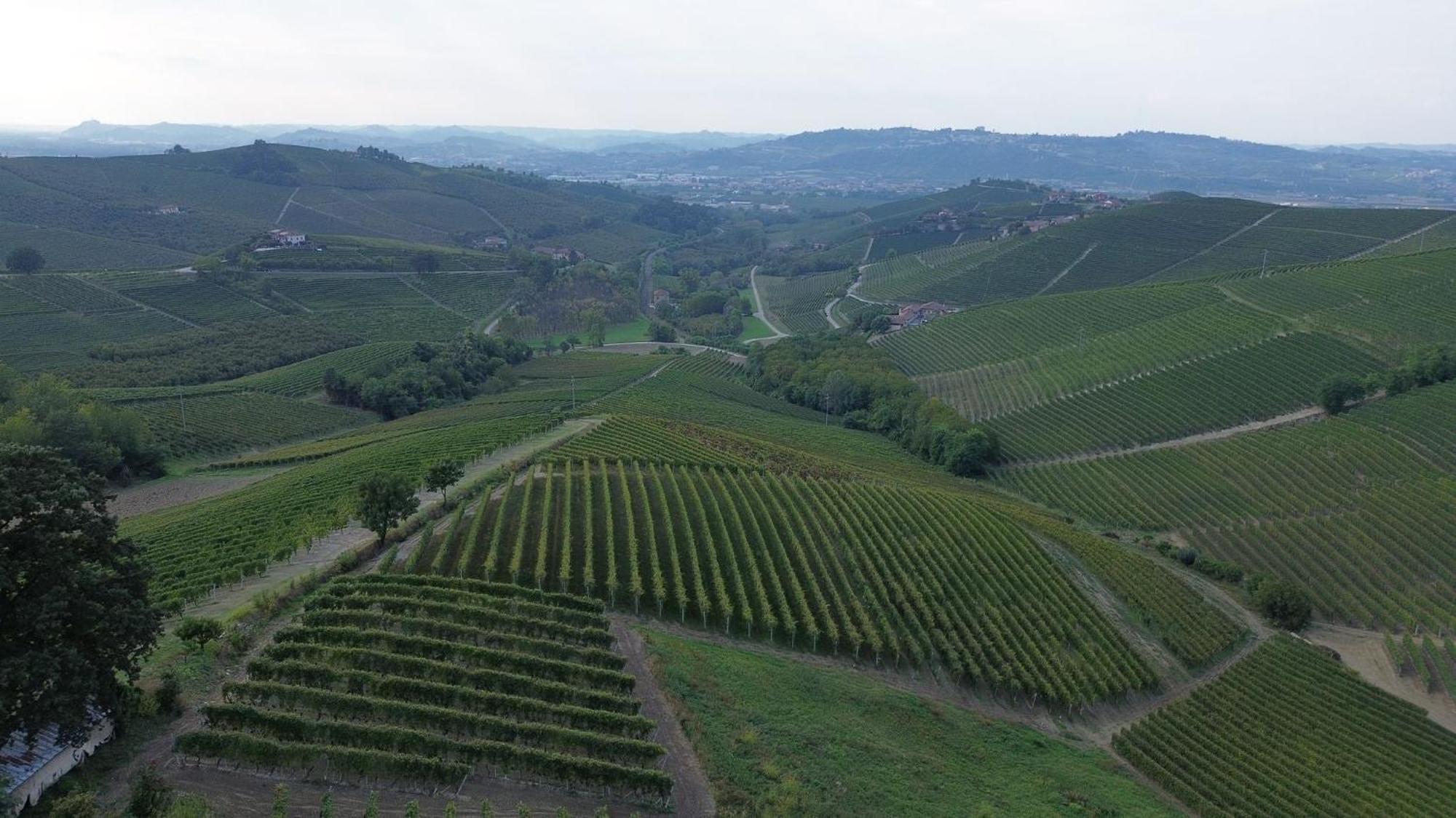 Ca Trifolera Barbaresco - Romantico Cascinale Con Antica Cantina Nel Cuore Delle Langhe - Degustazione Vini Nella Nostra Cantina Esterno foto