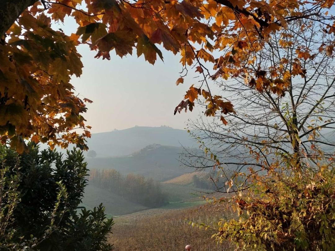 Ca Trifolera Barbaresco - Romantico Cascinale Con Antica Cantina Nel Cuore Delle Langhe - Degustazione Vini Nella Nostra Cantina Esterno foto